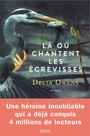 La couverture porte en plus : une héroïne inoubliable qui a déjà conquis 4 millions de lecteurs